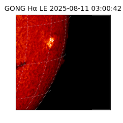 gong - 2025-08-11T03:00:42