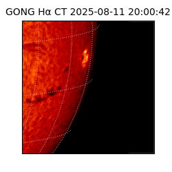 gong - 2025-08-11T20:00:42