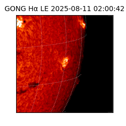 gong - 2025-08-11T02:00:42