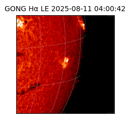 gong - 2025-08-11T04:00:42