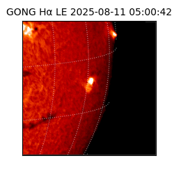 gong - 2025-08-11T05:00:42