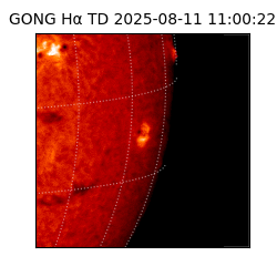 gong - 2025-08-11T11:00:22