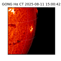 gong - 2025-08-11T15:00:42