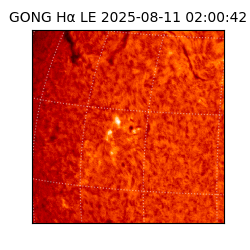 gong - 2025-08-11T02:00:42