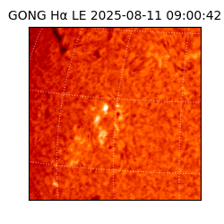 gong - 2025-08-11T09:00:42