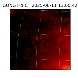 gong - 2025-08-11T13:00:42