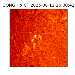 gong - 2025-08-11T16:00:42