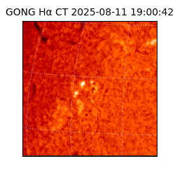 gong - 2025-08-11T19:00:42