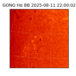 gong - 2025-08-11T22:00:02