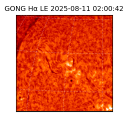 gong - 2025-08-11T02:00:42