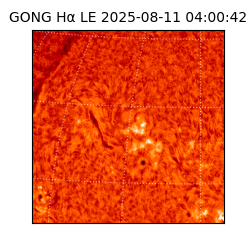 gong - 2025-08-11T04:00:42