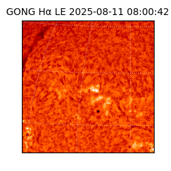 gong - 2025-08-11T08:00:42