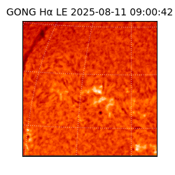 gong - 2025-08-11T09:00:42