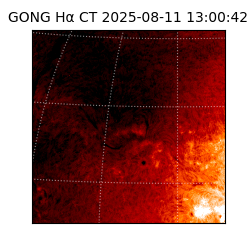 gong - 2025-08-11T13:00:42