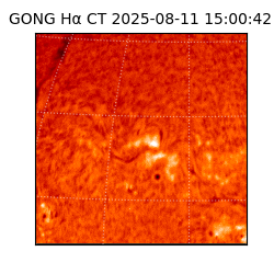 gong - 2025-08-11T15:00:42