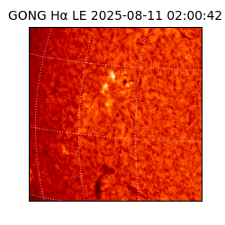 gong - 2025-08-11T02:00:42