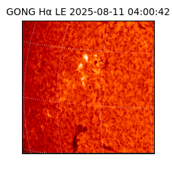 gong - 2025-08-11T04:00:42
