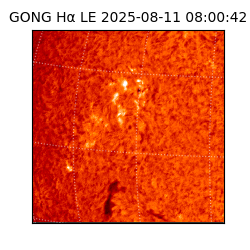 gong - 2025-08-11T08:00:42