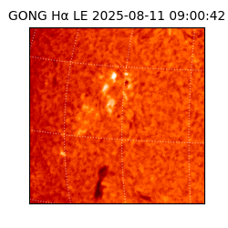 gong - 2025-08-11T09:00:42
