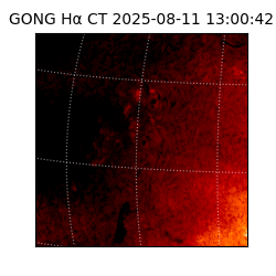 gong - 2025-08-11T13:00:42