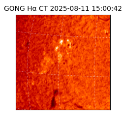 gong - 2025-08-11T15:00:42
