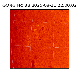 gong - 2025-08-11T22:00:02