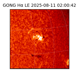 gong - 2025-08-11T02:00:42