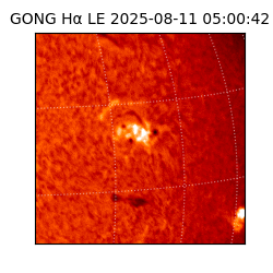 gong - 2025-08-11T05:00:42