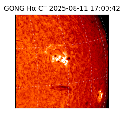 gong - 2025-08-11T17:00:42