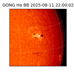 gong - 2025-08-11T22:00:02