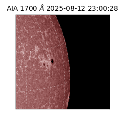 saia - 2025-08-12T23:00:28.718000