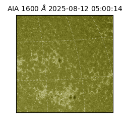saia - 2025-08-12T05:00:14.125000