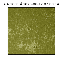 saia - 2025-08-12T07:00:14.125000