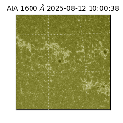 saia - 2025-08-12T10:00:38.124000