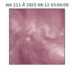 saia - 2025-08-12T03:00:09.632000
