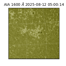 saia - 2025-08-12T05:00:14.125000