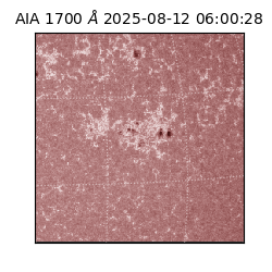 saia - 2025-08-12T06:00:28.744000