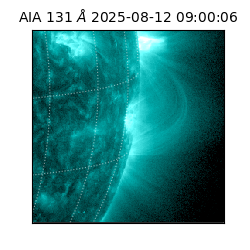 saia - 2025-08-12T09:00:06.622000