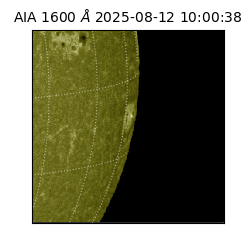 saia - 2025-08-12T10:00:38.124000