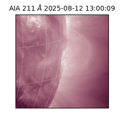 saia - 2025-08-12T13:00:09.626000