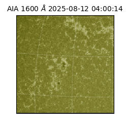 saia - 2025-08-12T04:00:14.126000