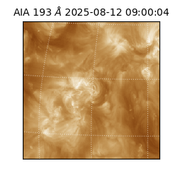 saia - 2025-08-12T09:00:04.843000