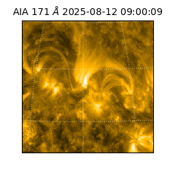 saia - 2025-08-12T09:00:09.351000
