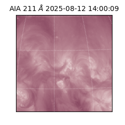 saia - 2025-08-12T14:00:09.626000