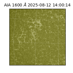 saia - 2025-08-12T14:00:14.125000