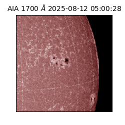 saia - 2025-08-12T05:00:28.721000