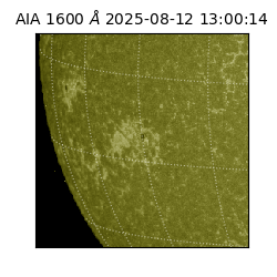 saia - 2025-08-12T13:00:14.125000