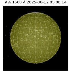 saia - 2025-08-12T05:00:14.125000