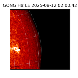 gong - 2025-08-12T02:00:42