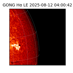 gong - 2025-08-12T04:00:42